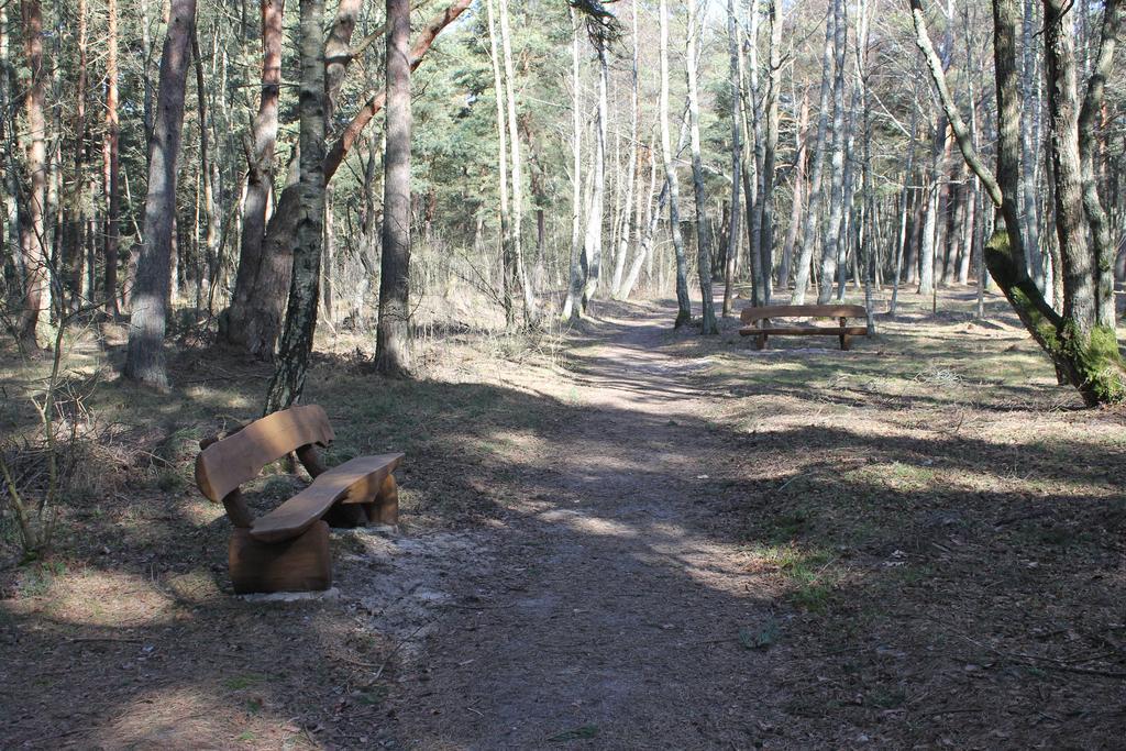 Studio Pluke Palanga Exteriér fotografie